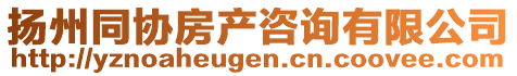 揚(yáng)州同協(xié)房產(chǎn)咨詢有限公司