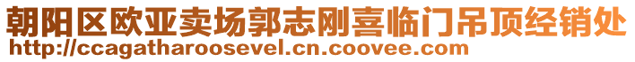 朝陽(yáng)區(qū)歐亞賣(mài)場(chǎng)郭志剛喜臨門(mén)吊頂經(jīng)銷(xiāo)處