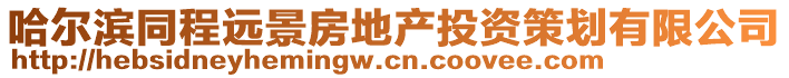 哈爾濱同程遠景房地產(chǎn)投資策劃有限公司