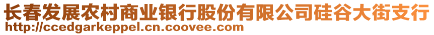 長春發(fā)展農(nóng)村商業(yè)銀行股份有限公司硅谷大街支行