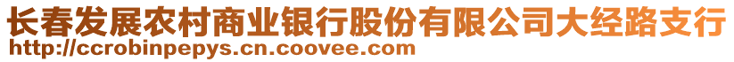 長春發(fā)展農(nóng)村商業(yè)銀行股份有限公司大經(jīng)路支行