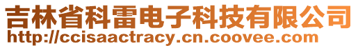 吉林省科雷電子科技有限公司
