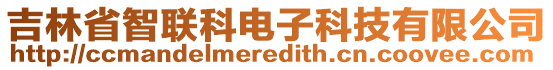 吉林省智聯(lián)科電子科技有限公司