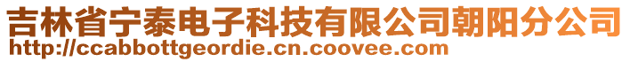 吉林省寧泰電子科技有限公司朝陽(yáng)分公司