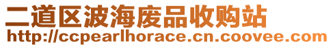 二道區(qū)波海廢品收購站