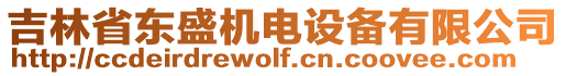 吉林省東盛機(jī)電設(shè)備有限公司