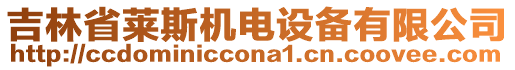 吉林省萊斯機(jī)電設(shè)備有限公司