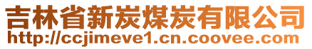 吉林省新炭煤炭有限公司