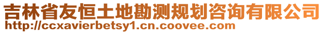 吉林省友恒土地勘測規(guī)劃咨詢有限公司