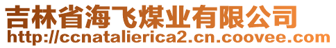 吉林省海飛煤業(yè)有限公司