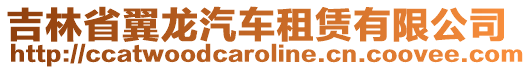 吉林省翼龍汽車租賃有限公司