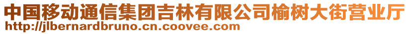 中國移動(dòng)通信集團(tuán)吉林有限公司榆樹大街營業(yè)廳