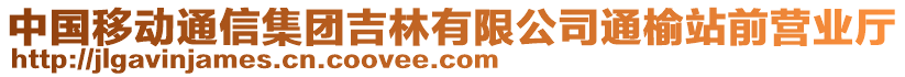 中國移動通信集團(tuán)吉林有限公司通榆站前營業(yè)廳