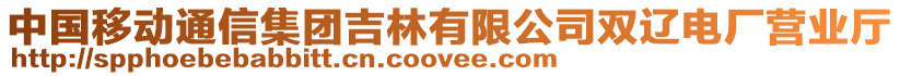 中國(guó)移動(dòng)通信集團(tuán)吉林有限公司雙遼電廠營(yíng)業(yè)廳