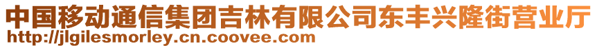 中國移動通信集團吉林有限公司東豐興隆街營業(yè)廳