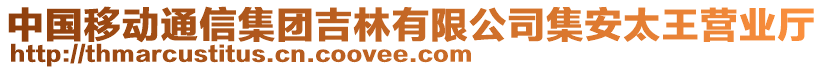 中國移動通信集團吉林有限公司集安太王營業(yè)廳