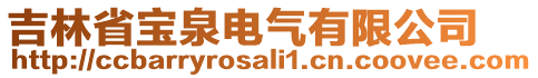 吉林省宝泉电气有限公司