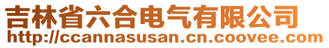 吉林省六合电气有限公司