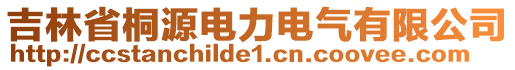 吉林省桐源电力电气有限公司