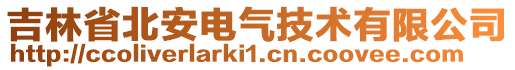 吉林省北安电气技术有限公司