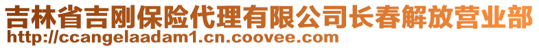 吉林省吉剛保險(xiǎn)代理有限公司長春解放營業(yè)部