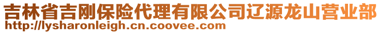 吉林省吉刚保险代理有限公司辽源龙山营业部