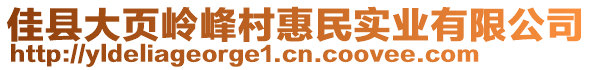 佳縣大頁嶺峰村惠民實業(yè)有限公司