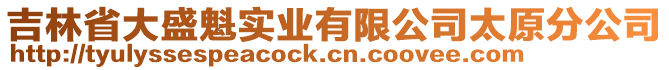 吉林省大盛魁實業(yè)有限公司太原分公司