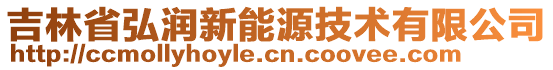 吉林省弘润新能源技术有限公司