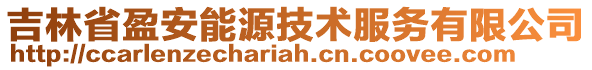 吉林省盈安能源技術(shù)服務(wù)有限公司