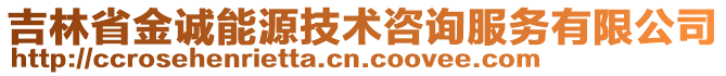 吉林省金誠能源技術咨詢服務有限公司