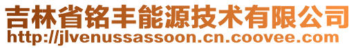 吉林省銘豐能源技術(shù)有限公司