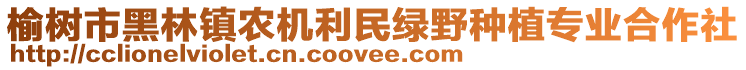 榆樹(shù)市黑林鎮(zhèn)農(nóng)機(jī)利民綠野種植專(zhuān)業(yè)合作社