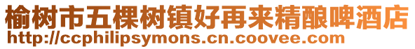 榆樹市五棵樹鎮(zhèn)好再來(lái)精釀啤酒店