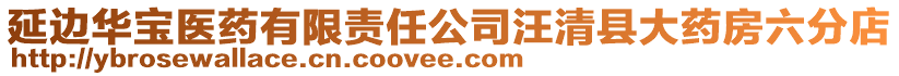 延邊華寶醫(yī)藥有限責(zé)任公司汪清縣大藥房六分店
