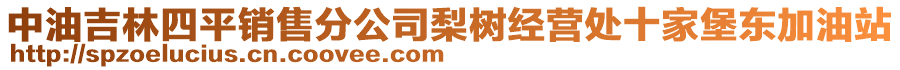 中油吉林四平銷售分公司梨樹經(jīng)營(yíng)處十家堡東加油站