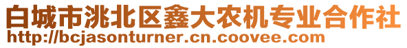 白城市洮北區(qū)鑫大農(nóng)機(jī)專業(yè)合作社