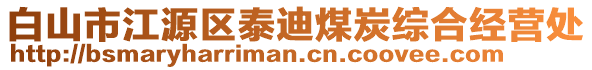 白山市江源區(qū)泰迪煤炭綜合經(jīng)營處