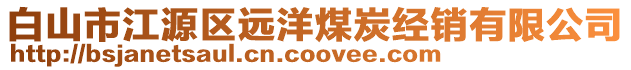 白山市江源區(qū)遠洋煤炭經(jīng)銷有限公司