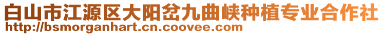白山市江源區(qū)大陽岔九曲峽種植專業(yè)合作社