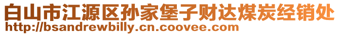 白山市江源區(qū)孫家堡子財達煤炭經(jīng)銷處