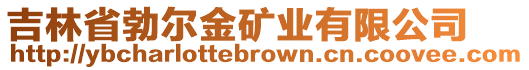 吉林省勃爾金礦業(yè)有限公司