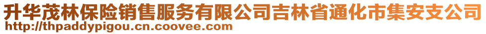 升華茂林保險銷售服務(wù)有限公司吉林省通化市集安支公司