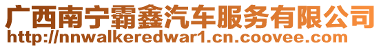 廣西南寧霸鑫汽車服務(wù)有限公司