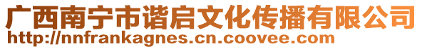 廣西南寧市諧啟文化傳播有限公司