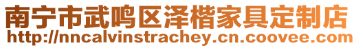 南寧市武鳴區(qū)澤楷家具定制店