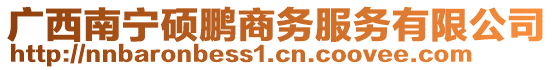 廣西南寧碩鵬商務(wù)服務(wù)有限公司