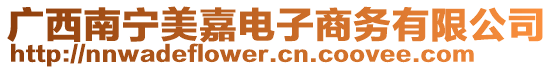 廣西南寧美嘉電子商務有限公司