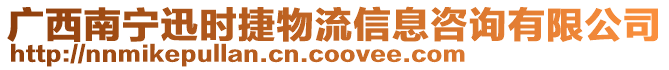 廣西南寧迅時捷物流信息咨詢有限公司