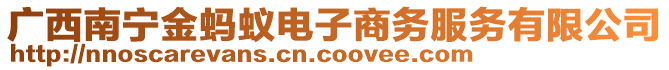 廣西南寧金螞蟻電子商務(wù)服務(wù)有限公司